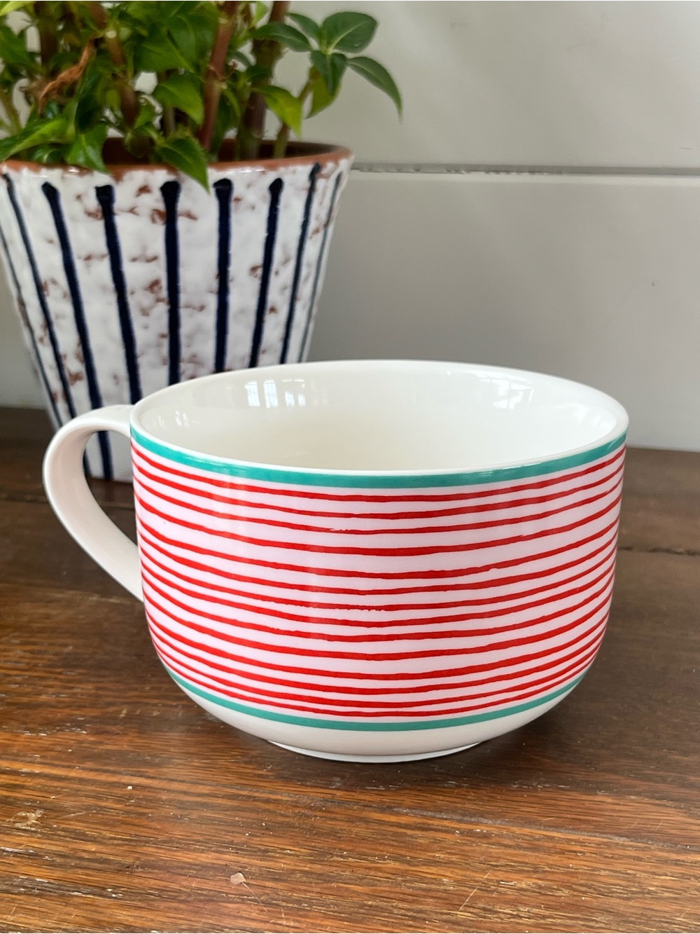 Anthropologie Molly Hatch stripe large soup mug